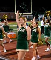 Bonus_Cheer Squad and Hornets Nest